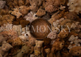 Load image into Gallery viewer, Teddy Bear Dreams Digital Background
